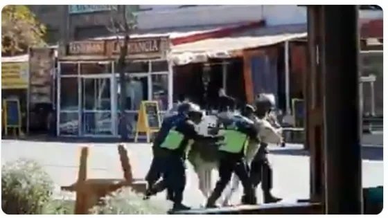 ¡Insólito! Demoraron a un burro en Cafayate. VIDEO