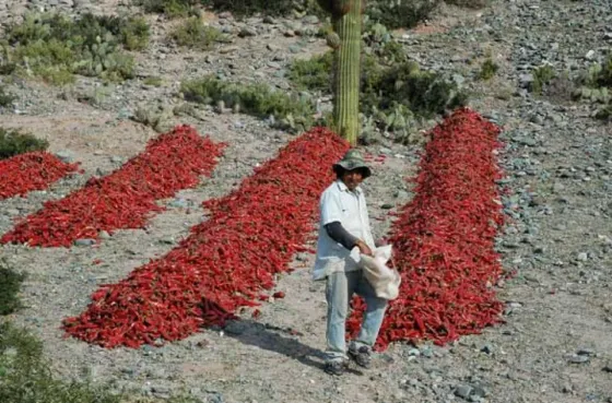 Piden que se instituya por ley la mesa pimentonera