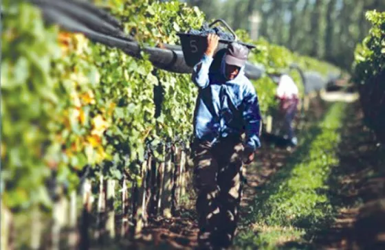 Piden que legisladores nacionales contemplen al programa Intercosecha