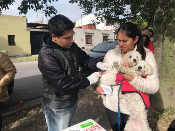 Conocé dónde se realizarán castraciones y vacunaciones gratuitas