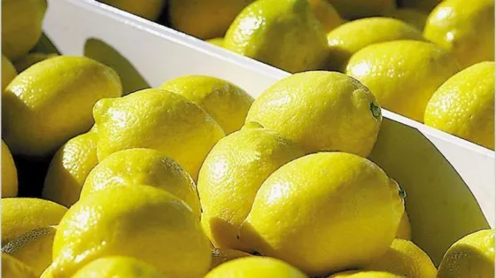 Argentina exportará limones y chía a India y Bangladesh