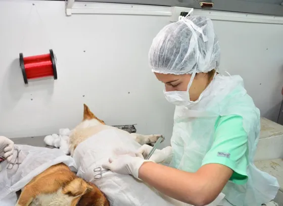 El Quirófano Móvil visitará la zona sudeste