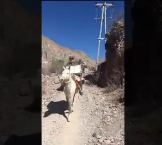 En mula, gendarmes llevaron las urnas a un pueblo de la provincia. VIDEO