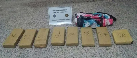 Incautan cerca de 30 mil dosis de droga en Salta