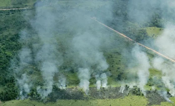 Confirmaron que desde Salta no se enviará ayuda al Amazonas