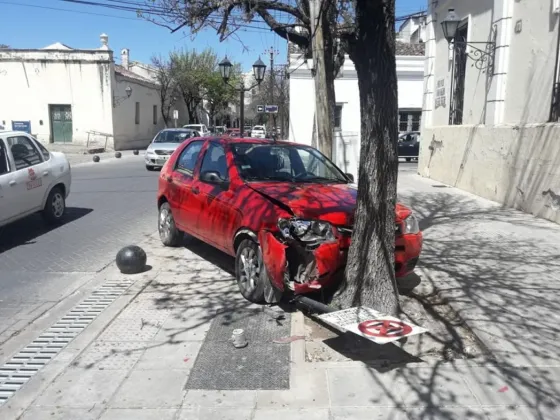 Quiso esquivar una bola y se estampó contra un árbol
