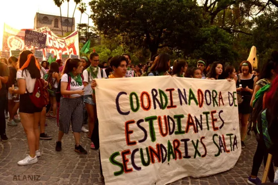 Habrá vigilia: Diputados trata un proyecto de Ley de Centros de Estudiantes