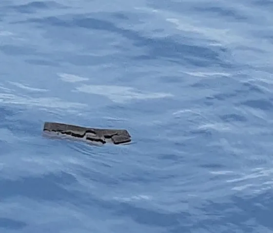 Hallaron restos humanos cerca de donde desapareció el avión chileno