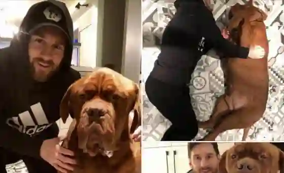 Una foto del perro de Messi revolucionó las redes