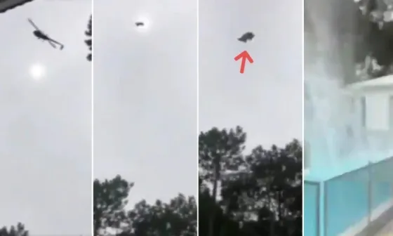 La historia detrás del cordero que arrojaron desde un helicóptero