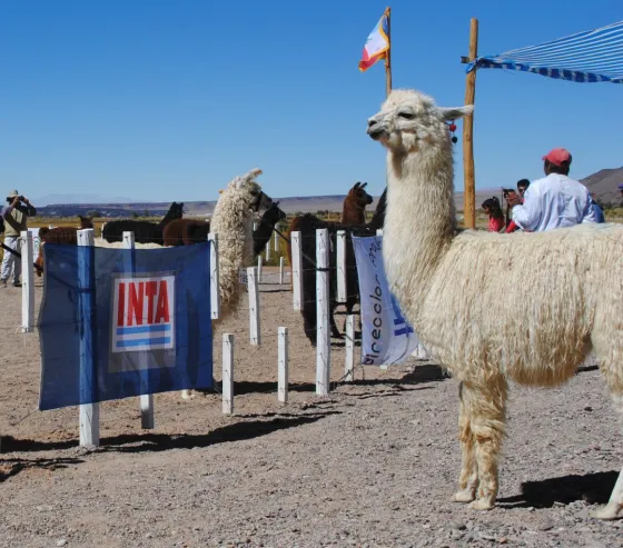 Por primera vez, designan a una mujer al frente del INTA