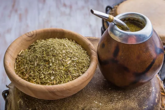Se detectó virus de salmonella y escherichia coli en una yerba mate