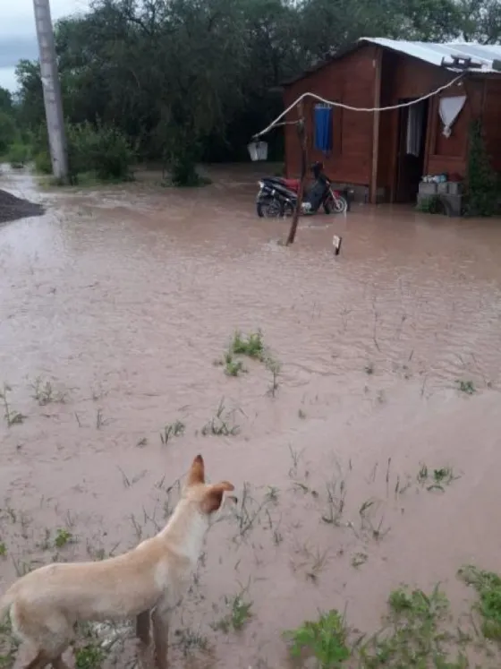 Más de cien personas afectadas por el temporal en Anta