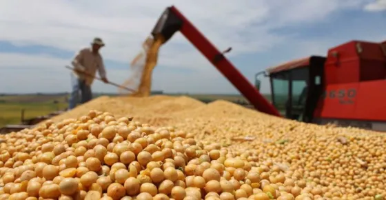 Las retenciones a las exportaciones de soja suben a 33%