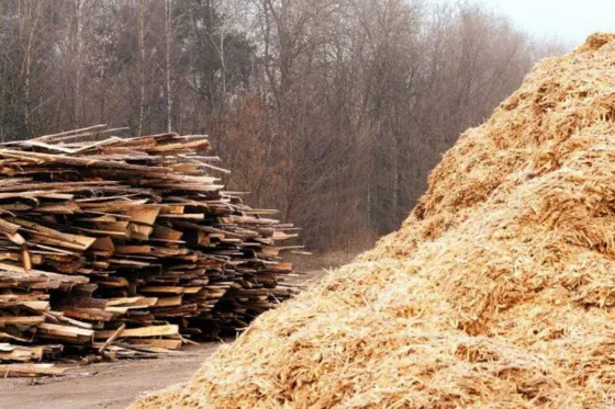 Quiénes son los nuevos eximidos de cumplir la cuarentena