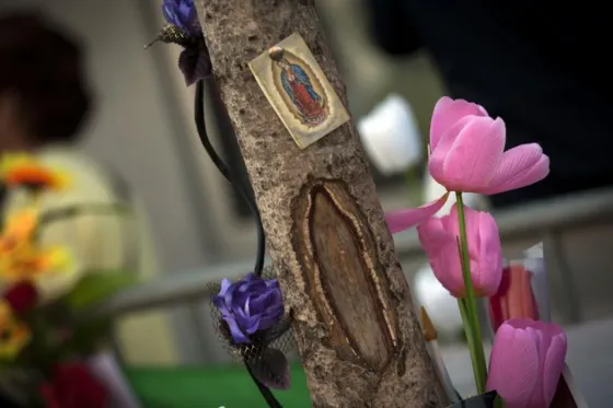 Los lugares más extraños en donde aparecieron imágenes religiosas