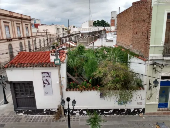 Salta tiene su propio Jurassic Park: queda en Pueyrredón y España