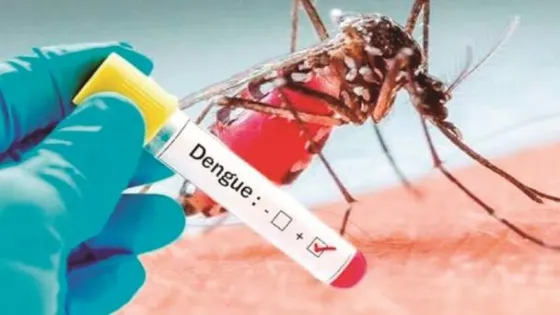 "El dengue nos está llevando por delante"