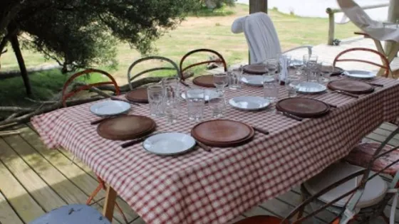 En Salta se analiza la posibilidad de autorizar reuniones sociales o familiares