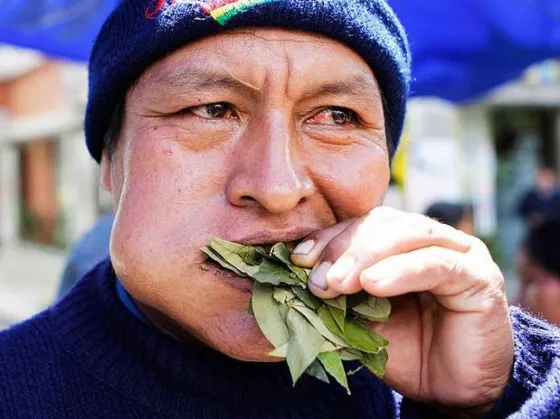La coca incautada será entregada a comunidades originarias y trabajadores