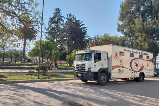 Nuevas campañas para colectar sangre y registrar donantes de médula ósea