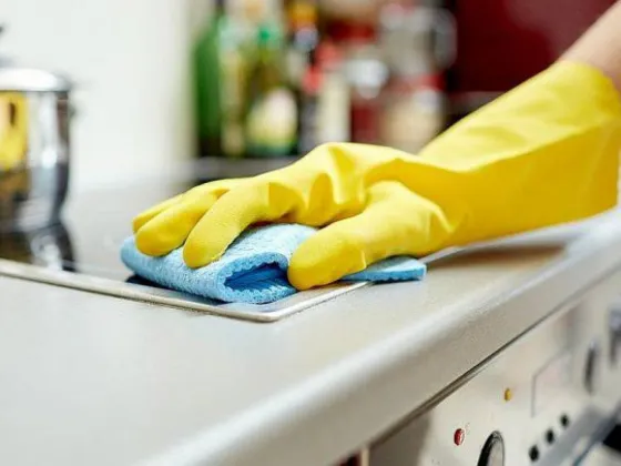 En 4 meses, dieron de baja más de 20.000 empleadas domésticas en blanco