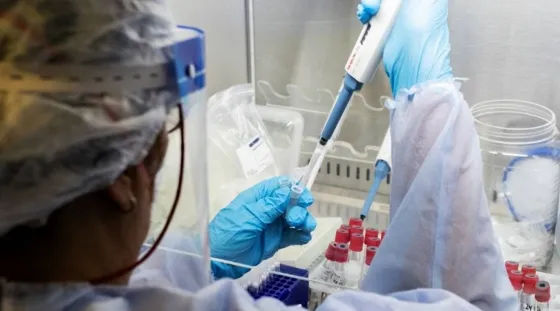 Se suman 29 muertes más por coronavirus y la cifra total es de 2.617