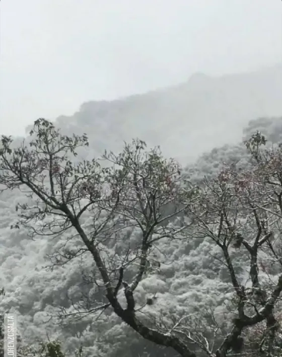 ¡Está nevando en Salta!