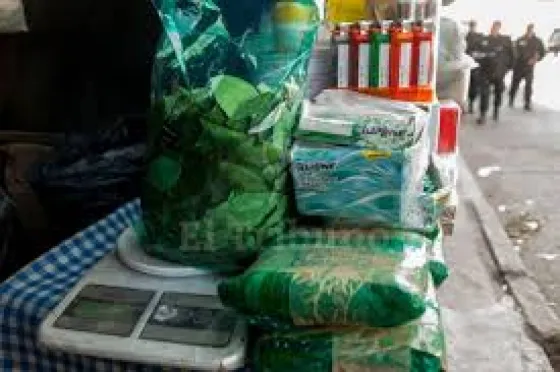 A un paso de la legalización: el Senado aprobó la regulación de la hoja de coca en Salta