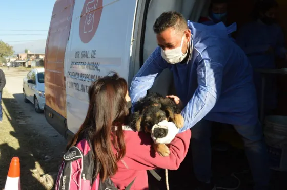 El Móvil Quirúrgico se instalará esta semana en San Ignacio y el Nido de Bicentenario