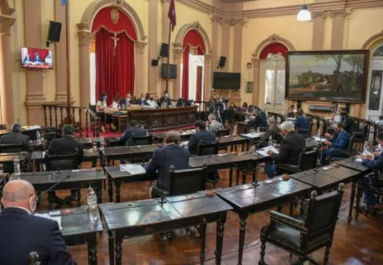 El Senado aprobó la suspensión de las PASO 2021 en Salta