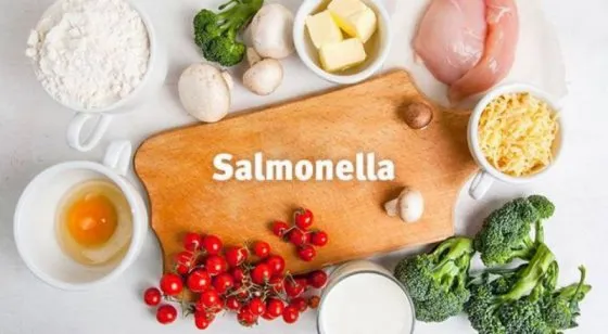 Alerta por salmonella: pautas de cuidado para prevenir la infección por salmonella