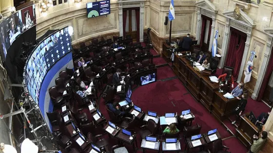 El Senado comienza a debatir el proyecto de las grandes fortunas