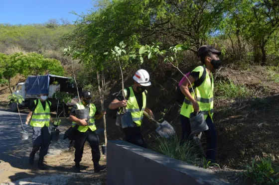 Salta verde: Plantaron 100 árboles en el Cerro San Bernardo