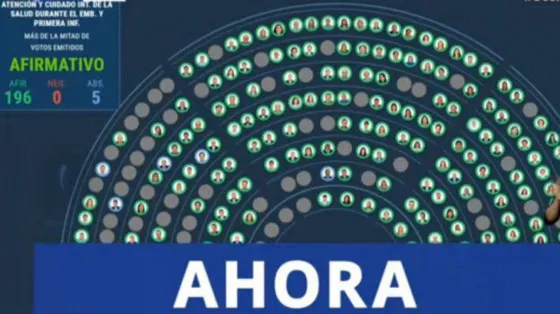 Diputados aprobó el Plan de los 1000 días