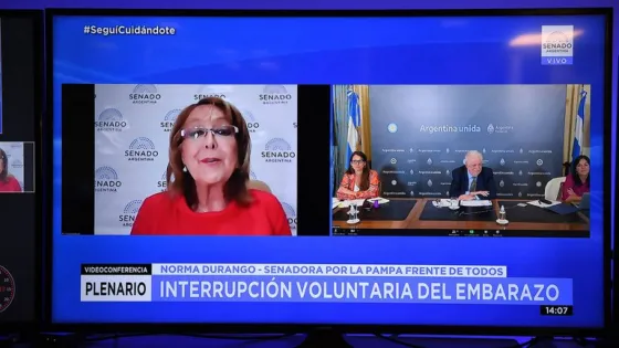 Aborto: el Senado debate en comisión el proyecto