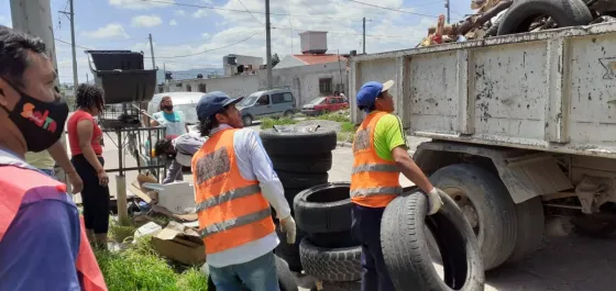 Dengue: hasta la fecha se llevan retiradas 993 toneladas de residuos