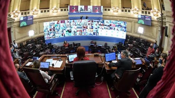 Hoy se trata el proyecto del aborto en el Senado