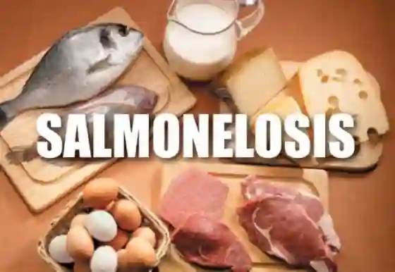 Se confirmaron 671 casos de salmonella durante 2020