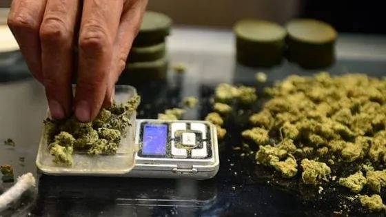 Lo juzgarán por vender cannabis en Villa Floresta