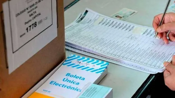 Embarazadas y grupos de riesgo no tendrán la obligación de votar