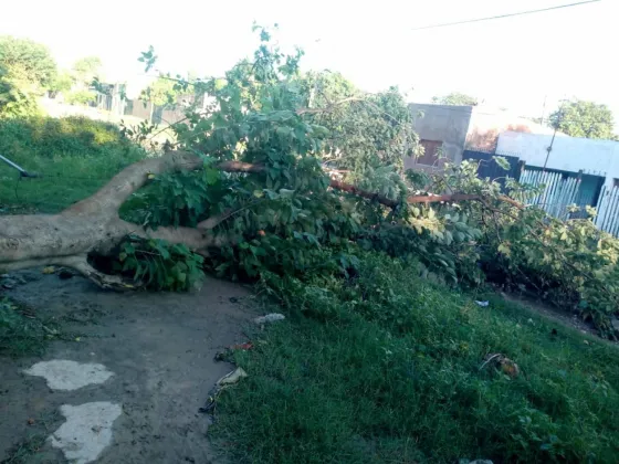 Orán: No hubo evacuados tras la tormenta de anoche