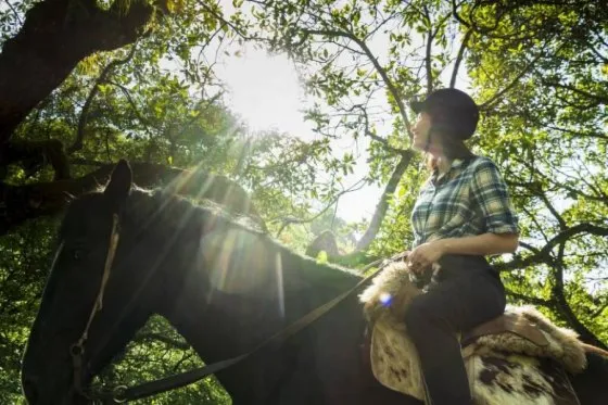 Turismo: el impacto económico fue casi de $1000 millones en enero