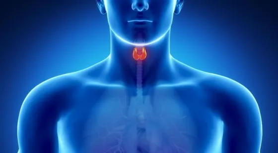 Semana de la tiroides: "El 7,5% de la población tiene problemas en las tiroides"
