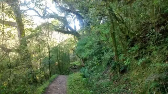 URGENTE: Buscan desesperadamente a dos turistas en San Lorenzo