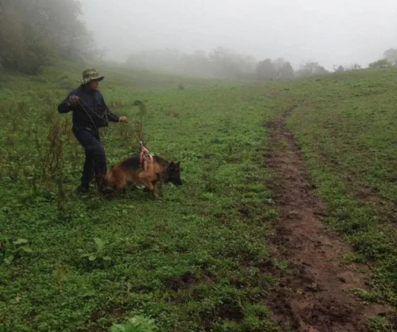 Fabiana Cari aún no aparece e instalaron una base en la Quebrada