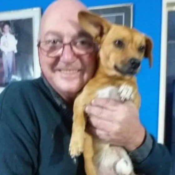 Conocé la historia de "Cartucho", el perro que amaron las redes y se hizo viral