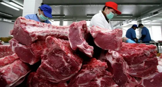 ¿Por qué el Gobierno suspendió la exportación de carne por 30 días?