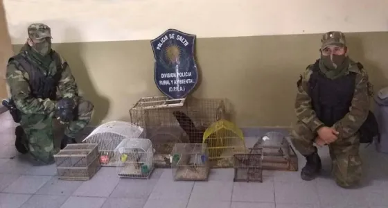 Vaqueros: rescataron aves en cautiverio de una casa