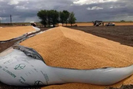 Tartagal: hay tres condenados por el robo de soja